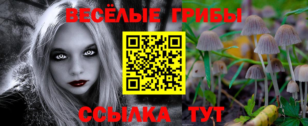 Галлюциногенные грибы прущие грибы Гагарин