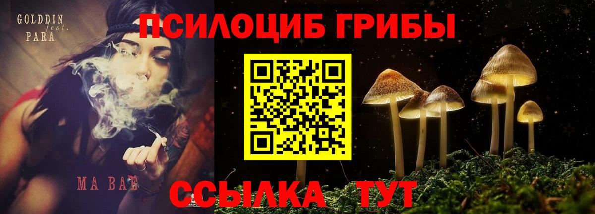 Псилоцибиновые грибы мицелий  Вход с VPN  Гагарин 